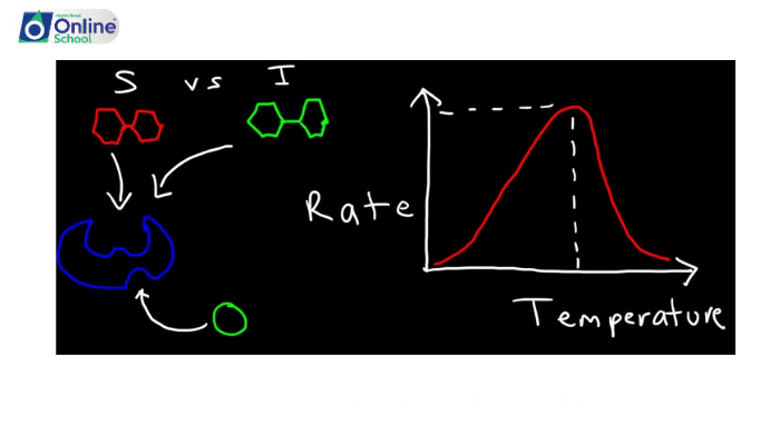 Lesson 07: Factors Affecting Enzyme Activity - Temperature and pH